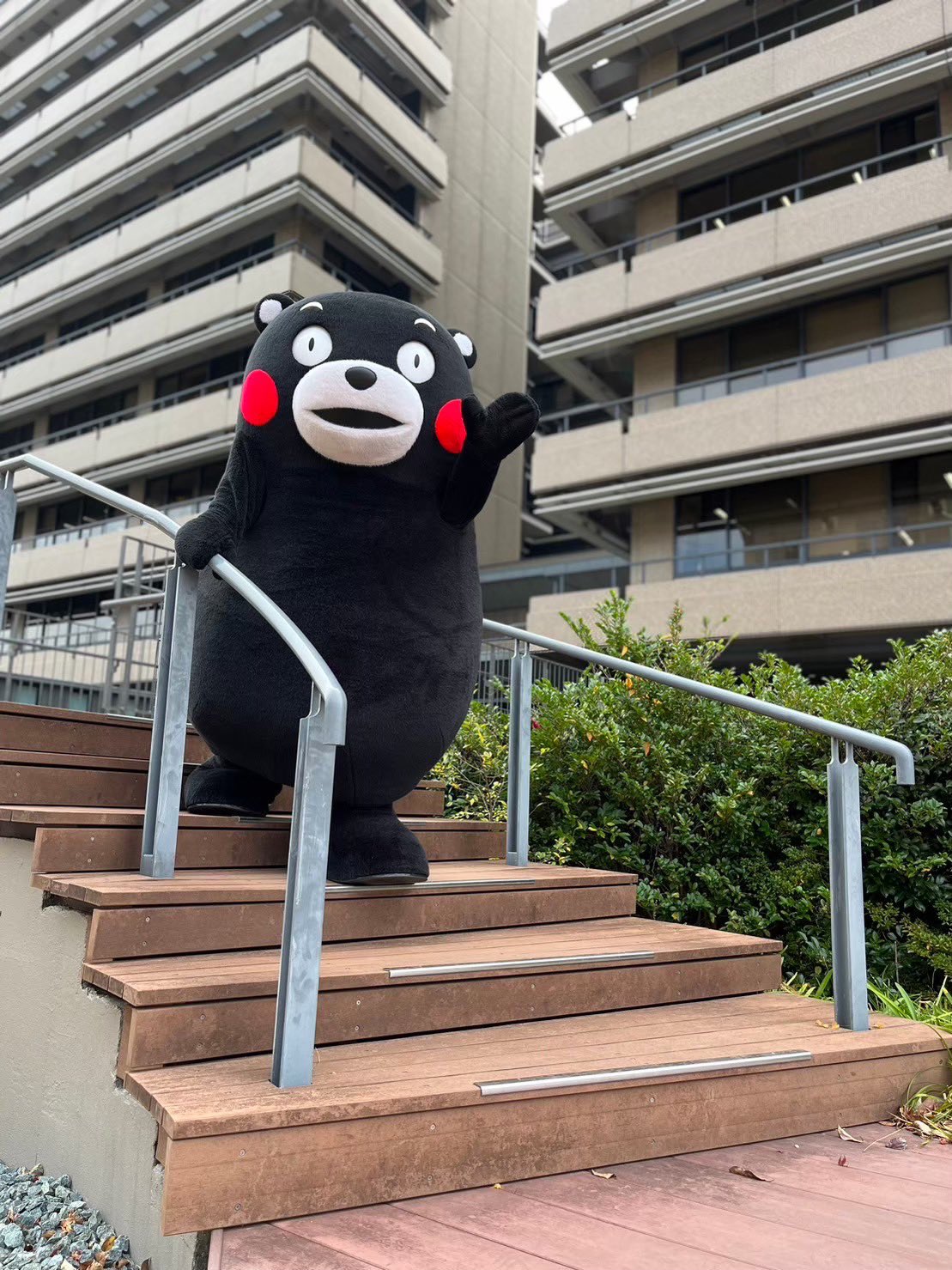 くまモン【公式】 on X: くまモン【公式】 on X: