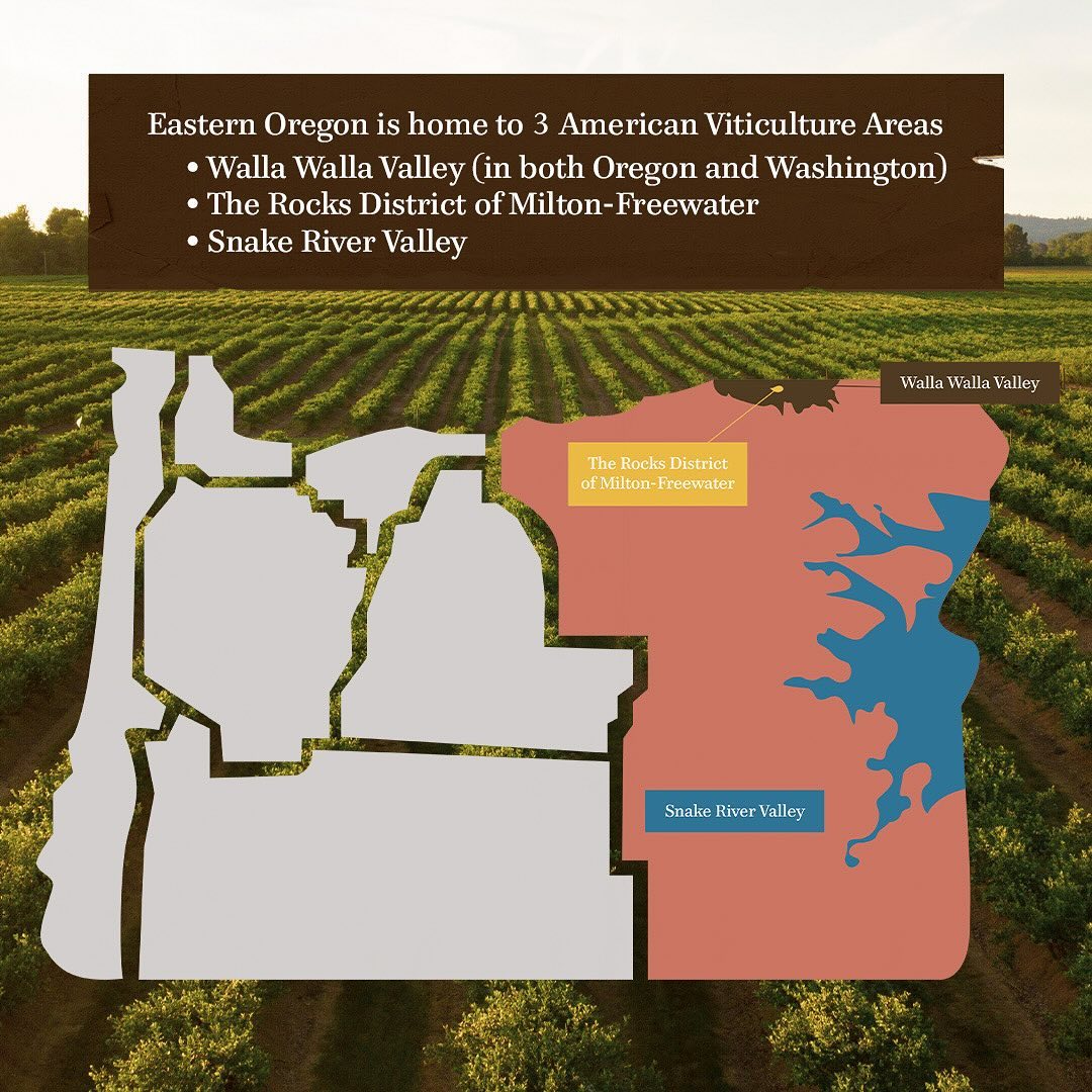 How much do you know about the wines of Eastern Oregon? This vast and beautiful area is home to three distinct AVAs, all of which are well worth visiting. Here's an excellent guide just in time for #OregonWineMonth: visiteasternoregon.com/sip-savor-and-…