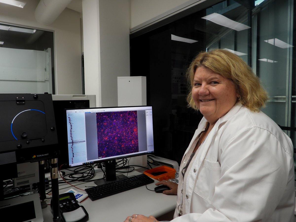 MPQC Research Team Spotlight! Meet #HumanECM Theme Investigator A/Prof. Larisa Haupt (@HaupLarisa), as she showcases their human neural stem cell models with yellow-green markers identifying neural cells and red staining highlighting the crucial HSPGs protein family. Larisa and…