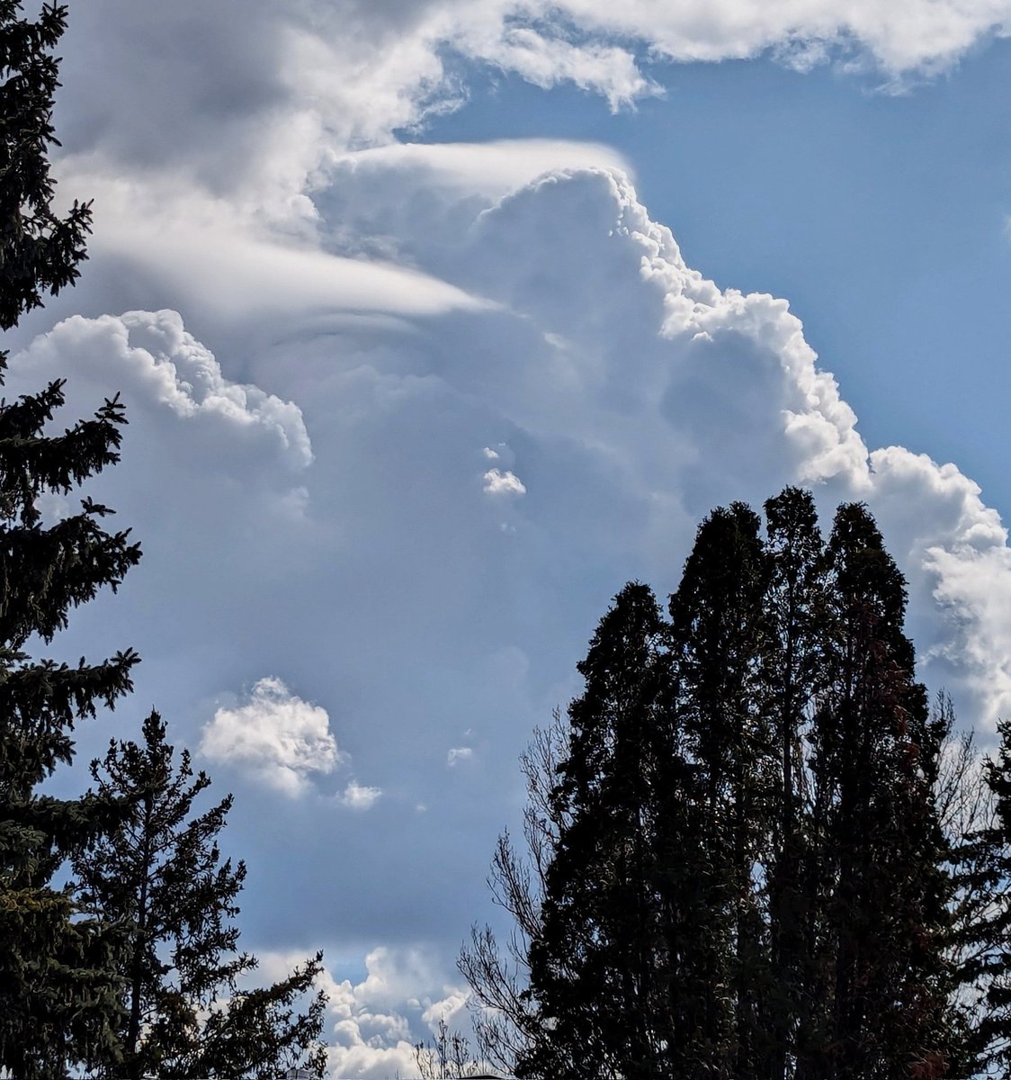 A beautiful display of pileus this afternoon!!!  #Winnipeg #mbstorm