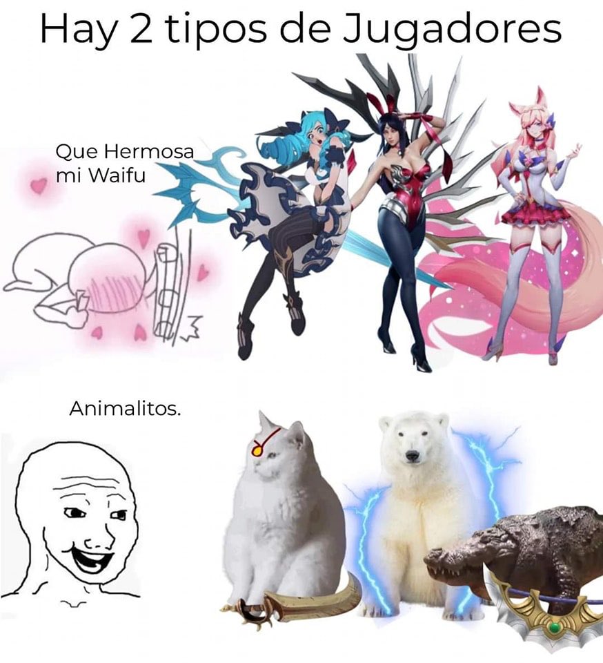 Qué tipo de jugadores son? Yo soy de waifus 🤓