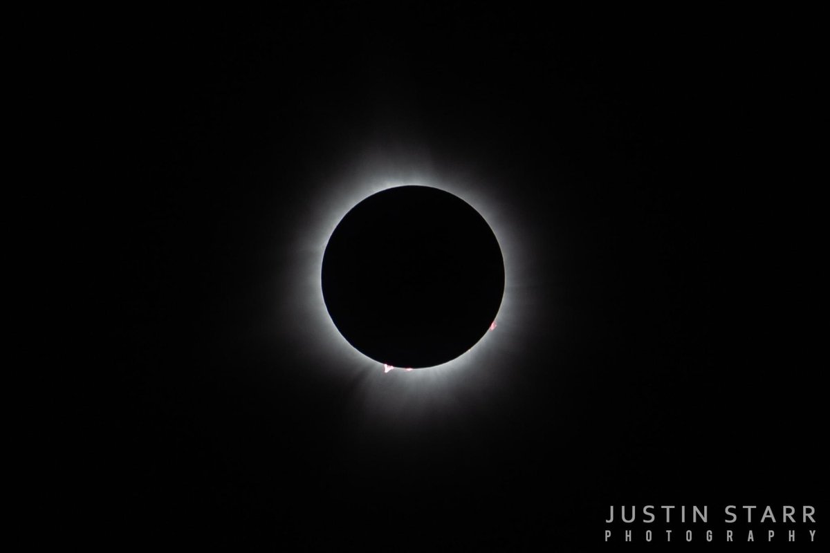 rettiwT delliK nolE tweet media