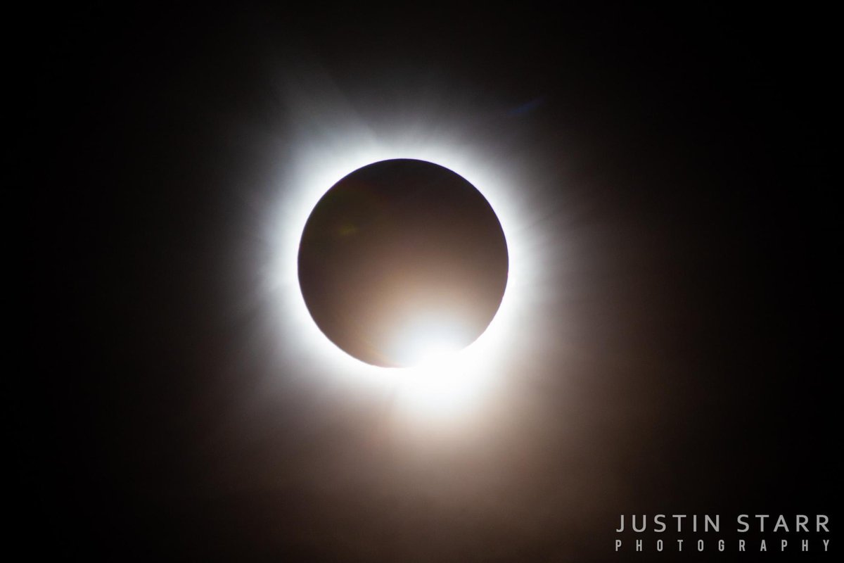 rettiwT delliK nolE tweet media