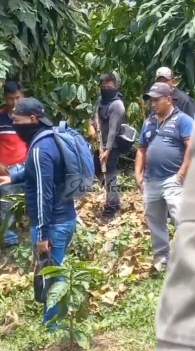 GRUPO INVASOR de finca en aldea Tocache, San Pablo, San Marcos.

Con fusiles se resisten al Desalojo.