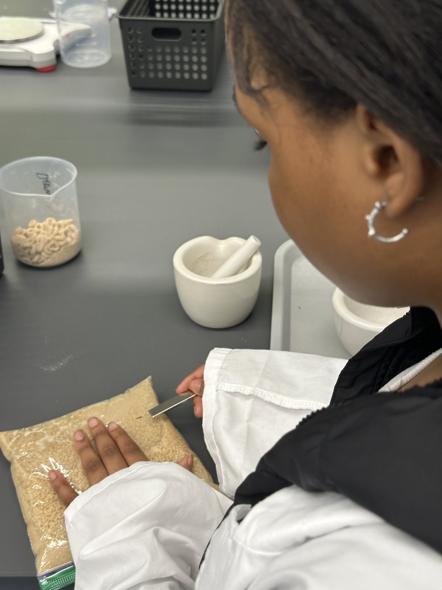 Sherry Zazi tweet media