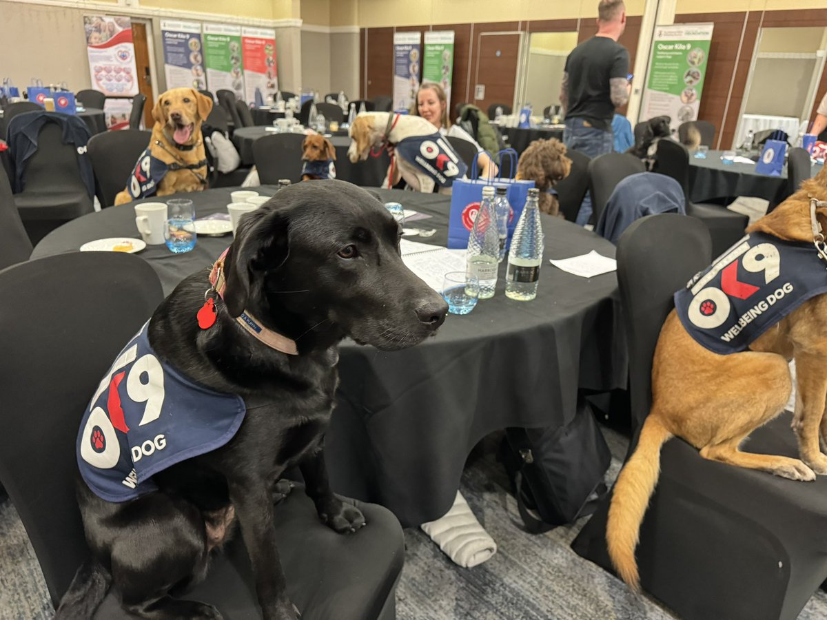 Got a meeting planned for today? Why not use it to: ✅ Check in on your colleagues ✅ really listen to people 👂 ✅thank others for their work 🙏 ✅share your great idea 💡 ✅ address the issue positively ✅be grateful for the chance to make a difference! Have a fab day! 🐕