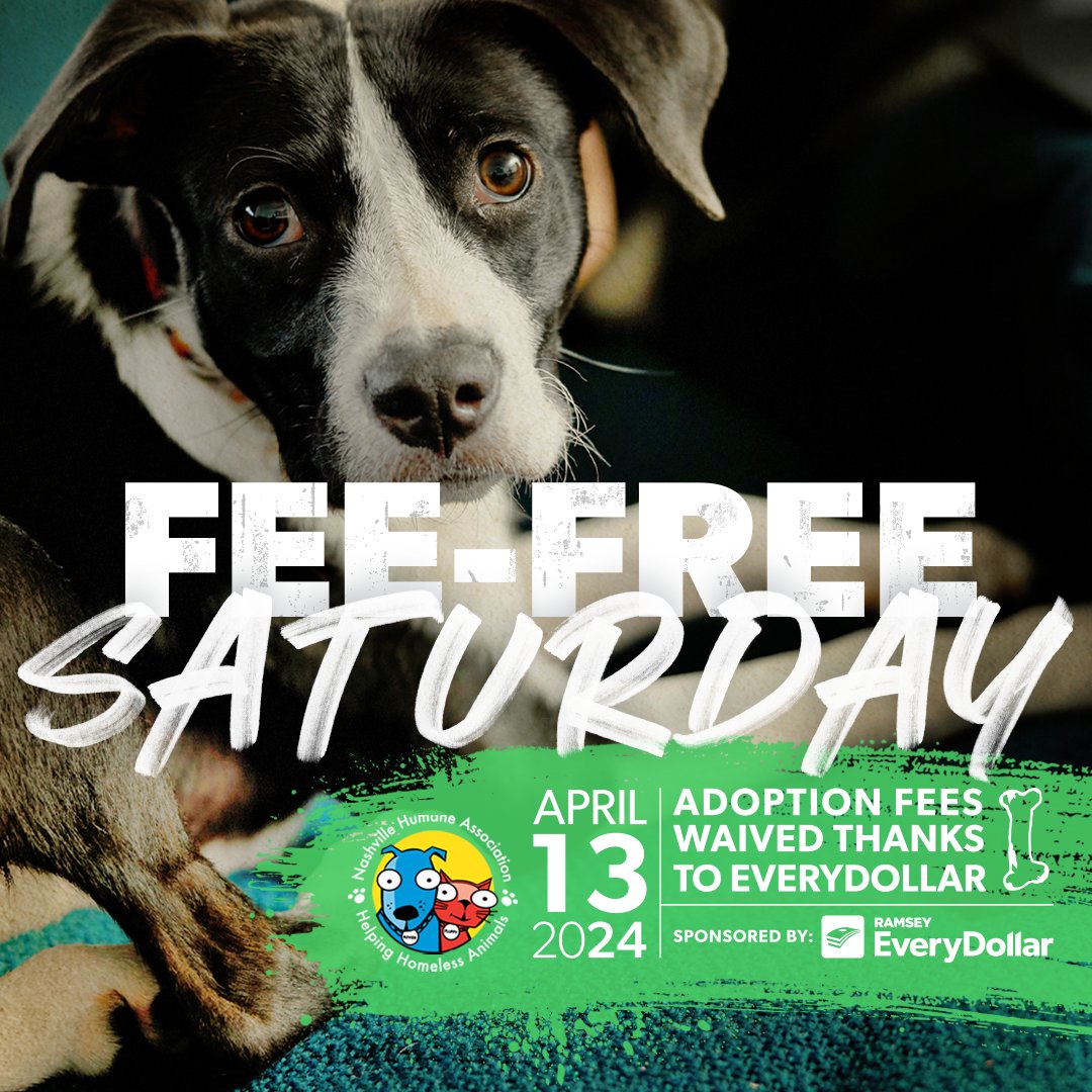 Join us this Saturday, April 13th, for a fee-free adoption day!🐾 Thanks to the generous support of @EveryDollar, all adoption fees are waived, and adopted pets will go to their furever homes with special treats, toys, supplies, and other goodies.🐶🐱