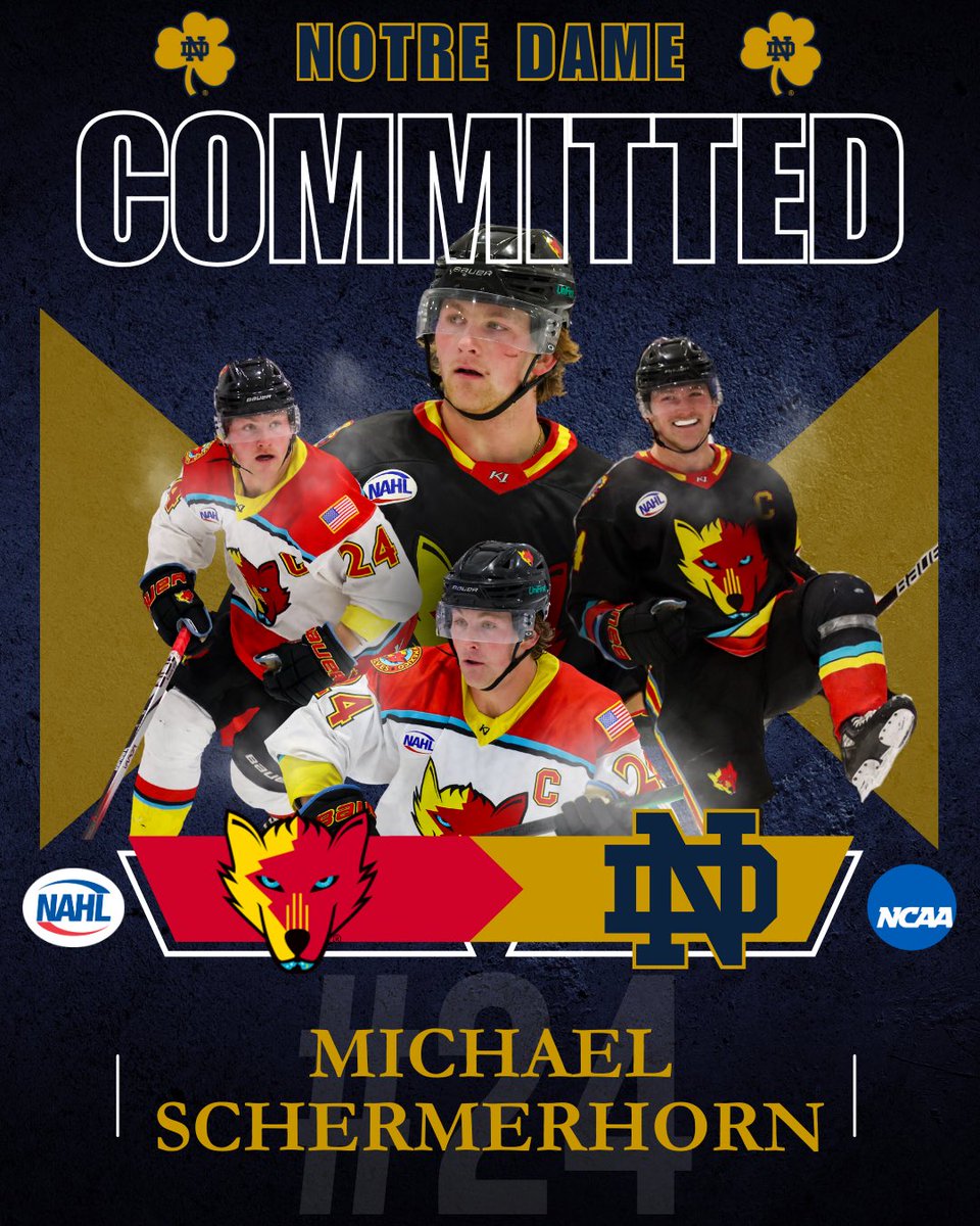 Michael Schermerhorn, our captain, is headed to the University of Notre Dame to play D1 hockey for the Fighting Irish!
 
You make us proud Michael and now let’s focus on playoffs at the Outpost this weekend!
 
nmicewolves.com/captain-michae…