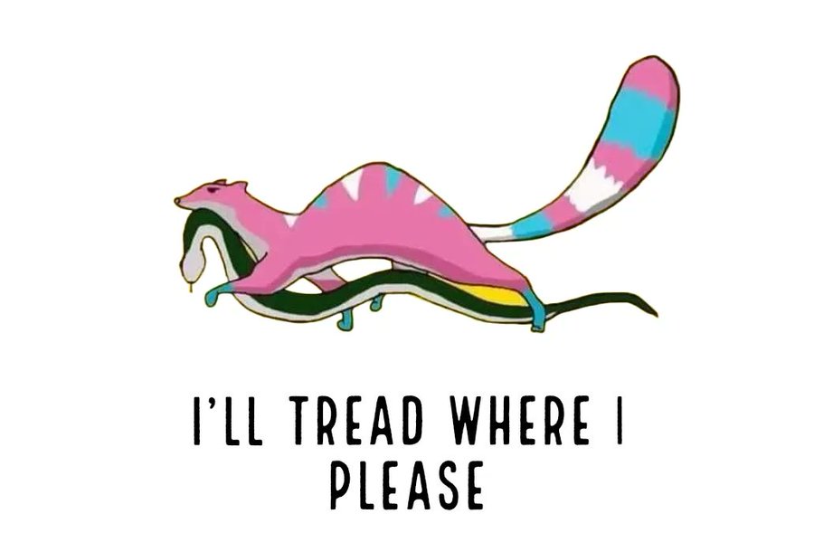 Really love the symbol of a Trans Mongoose disposing of the Gadsden Rag’s hate snake. #TransRightsAreHumanRights