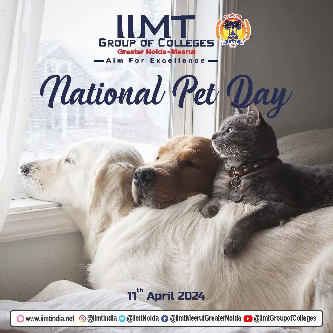 Happy National Pet Day to all the wonderful fur, feather, and scale babies out there! 🐾🐱🐶🐦 ❤️🐾 #NationalPetDay #FurBabies #lovemypet iimtindia.net Call Us: 9520886860 . #IIMTIndia #IIMTian #IIMTNoida #IIMTGreaterNoida #IIMTDelhiNCR #IIMTCollege