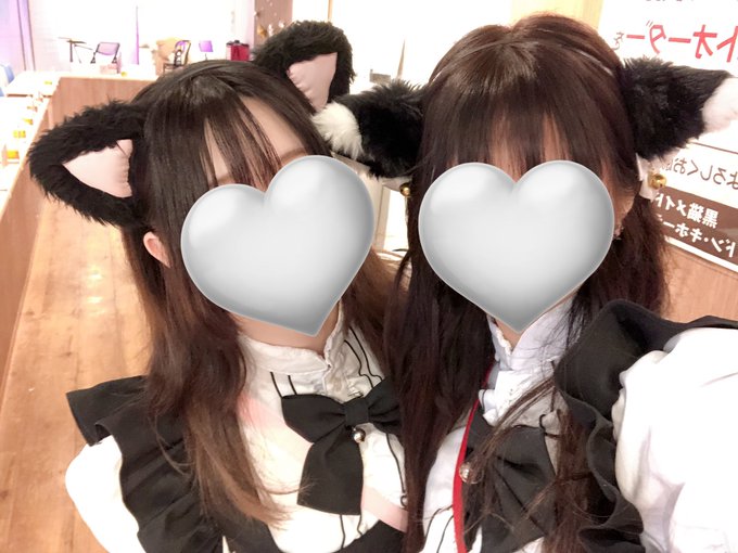 黒猫メイド魔法カフェ　ドン・キホーテ広島八丁堀店のツイート