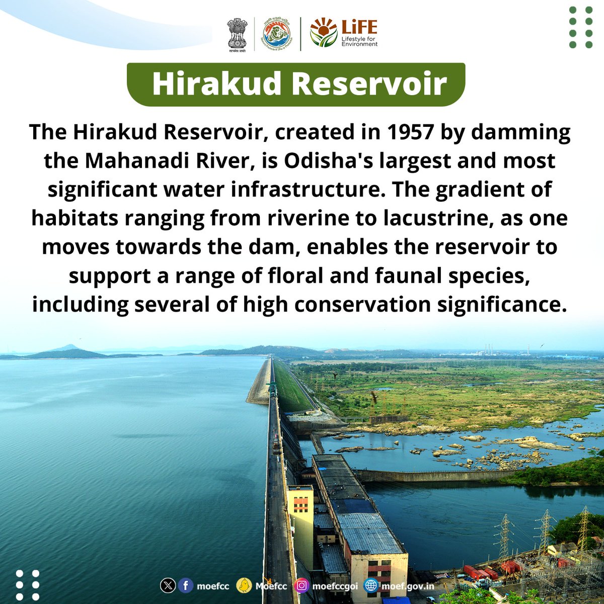 Discovering India's Ramsar Sites Day 62: Hirakud Reservoir From wetlands to wildlife, each site is a unique haven for nature. Let's celebrate and safeguard these vital ecosystems together! #RamsarSites #MissionLiFE #ProPlanetPeople