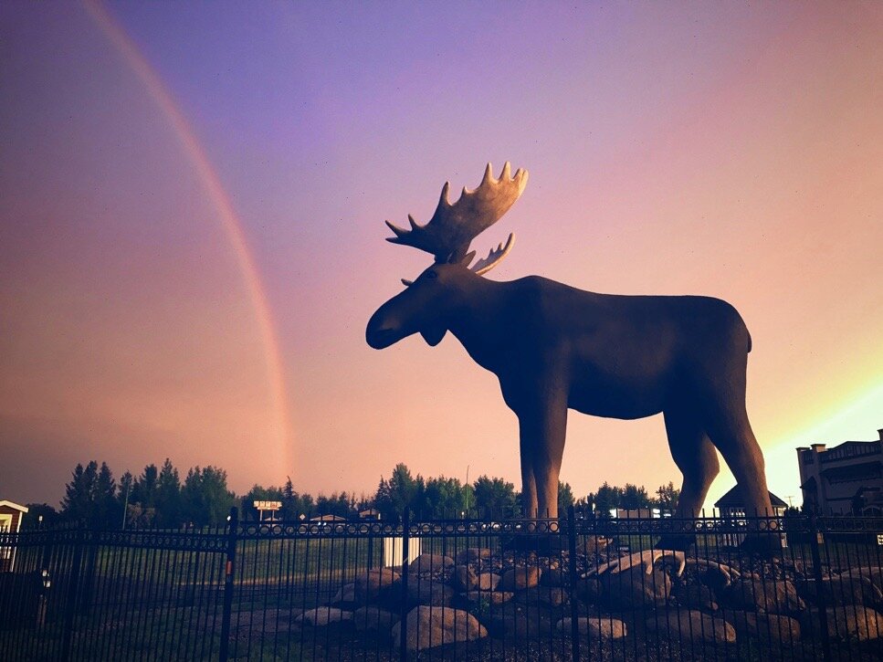 History: Mac the Moose was built in 1984 by Saskatoon artist Don Foulds with the goal of attracting visitors to the city. The construction process involved a steel frame covered with metal mesh and four coats of cement. the name 'Mac' was chosen after Les MacKenzie.