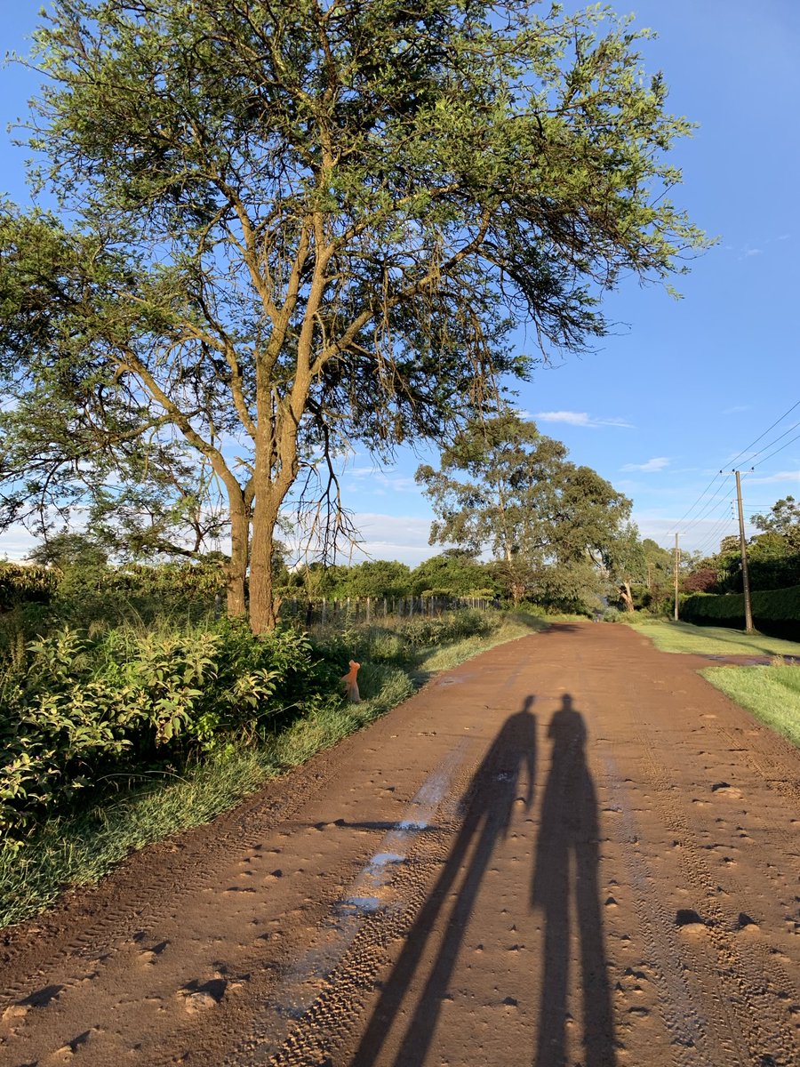 Sunny morning walk after rainy night - off to a good start on the road ahead