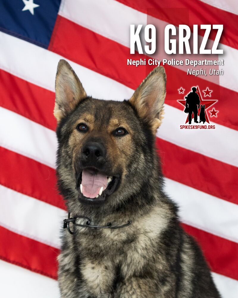 Meet K9 Grizz from Nephi, Utah! Since May, he has seized more than 43 POUNDS of methamphetamine and 36 POUNDS of cocaine along with numerous drug-related arrests! Grizz needs a heat alarm to stay safe when in the patrol car! Help him and more K9s at spikesk9fund.org #K9