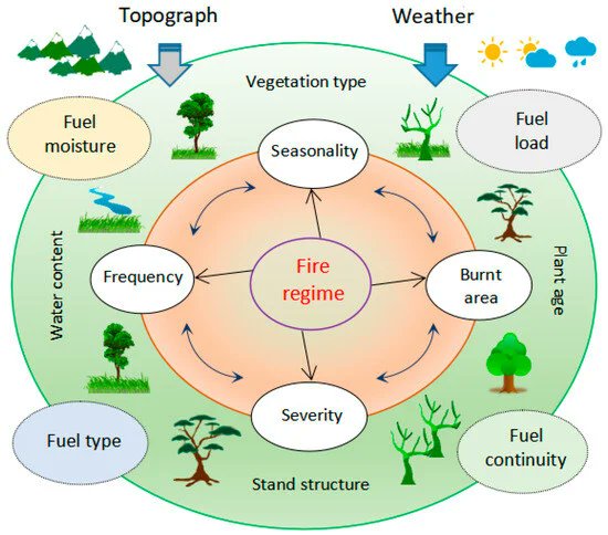 Refining Ecological Techniques for Forest Fire 🔥 Prevention and Evaluating Their Diverse Benefits mdpi.com/2571-6255/7/4/…