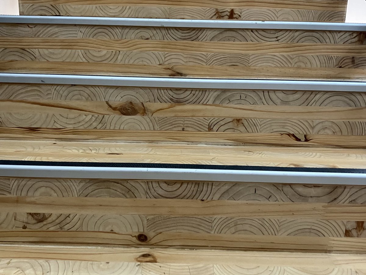 By car and train and plane to New Zealand today. Here’s the stairs at our hostel in Auckland. Looking forward to seeing our N American Monterey pine and how it gets so big here as a radiate pine.