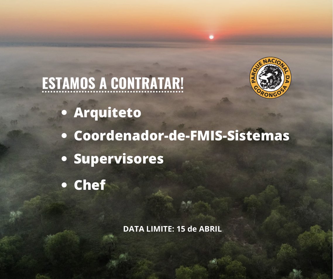 GorongosaPark's tweet image. Estamos a contratar! Os interessados ​​em alguma destas vagas são convidados a enviar o seu CV e carta de motivação até 15/04/2024, através do seguinte endereço de email: recruitment@gorongosa.net

#Gorongosa #notyourordinaryjob #Africa #workinafrica  #mozambique🇲🇿 #moçambique🇲🇿