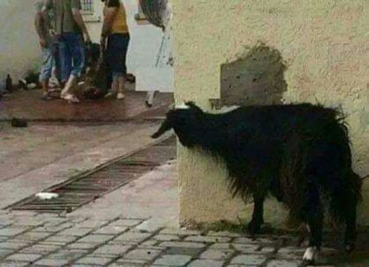 kapil9994's tweet photo. @InterMiamiCF Messi after today match 😂
#MTYvMIA https://t.co/vCr94rkSZY
