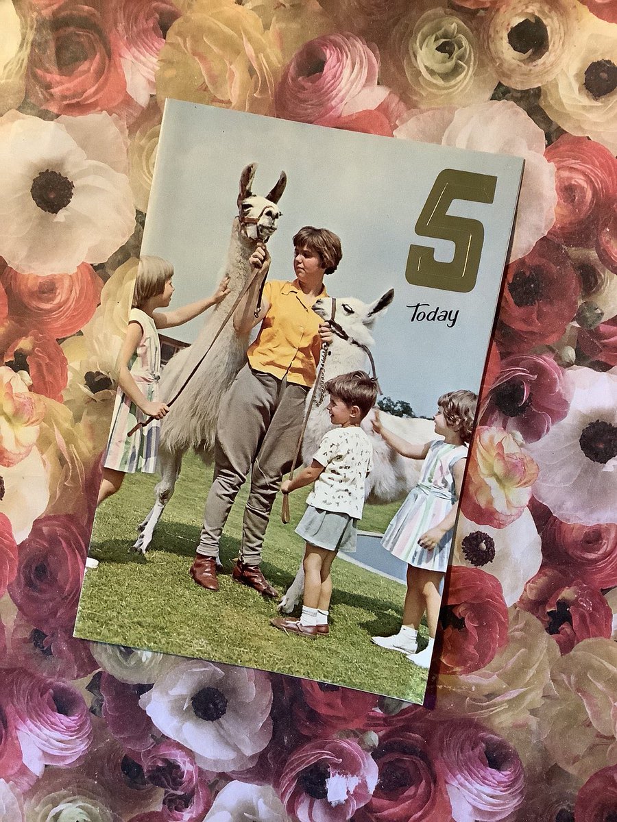 ONLY ONE AVAILABLE!!! This is such a fun, retro Birthday Card. You could add a strategically placed badge to this and make it into an any age card! watsonsvintagefinds.etsy.com/listing/152237… #Rare #VintageCard #BirthdayCard #Alpaca #PhotoCard #Retro #nostalgia