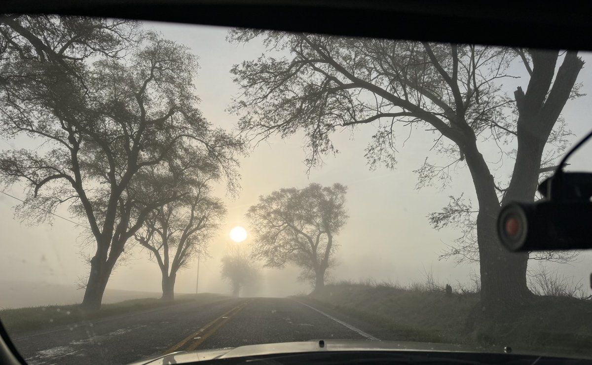 I call this one 'Fog on Eclipse Day', because...well...it's a capture that looks like a video game, banks of low-lying cloud rolling off the Wabash River, before burning off by the time the Moon came in front of the Sun. #art #photography #travel #road #roadway #trees #fog…