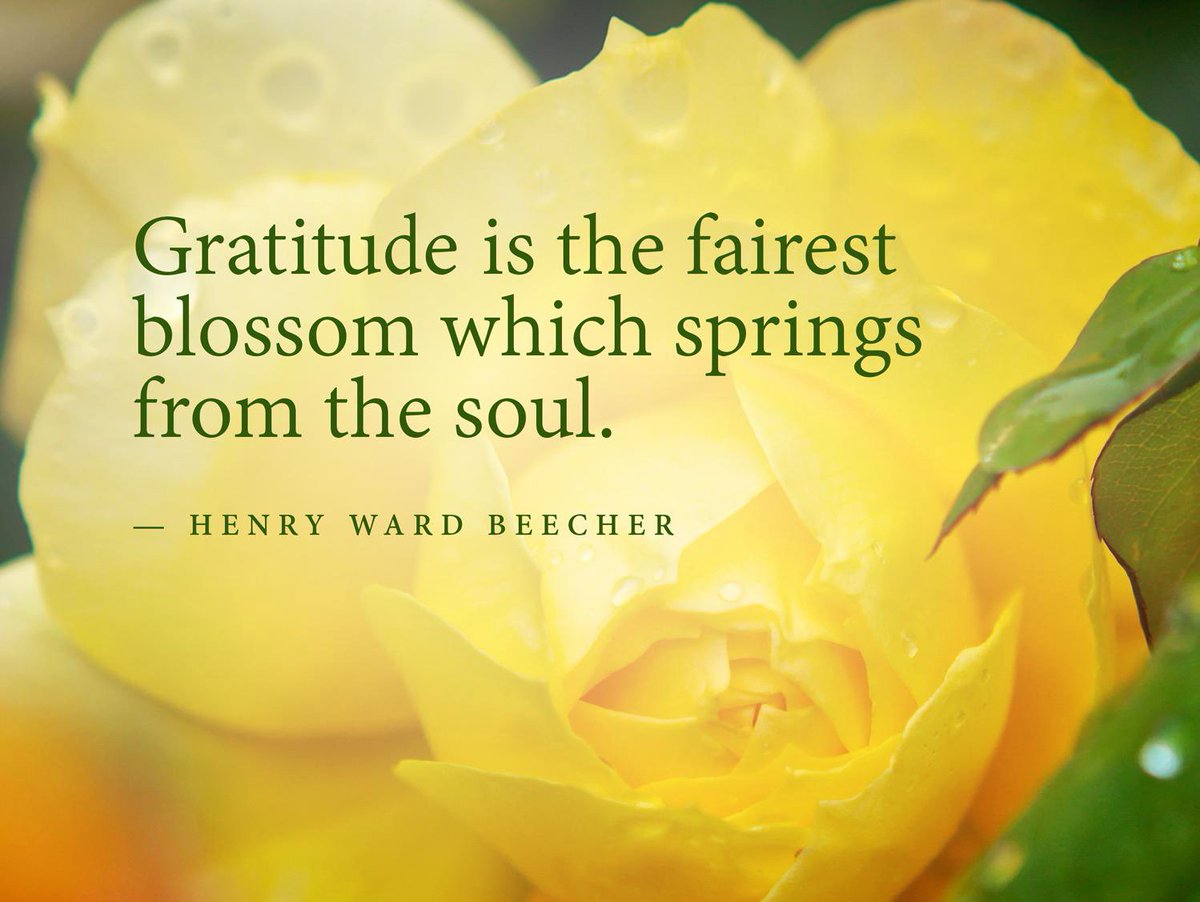 Thursday Friendly Reminder… Gratitude is the fairest blossom which springs from the soul. 🙌🍃🌼 #ThankfulThursday #Gratitude #thursdayvibes #ThursdayThoughts