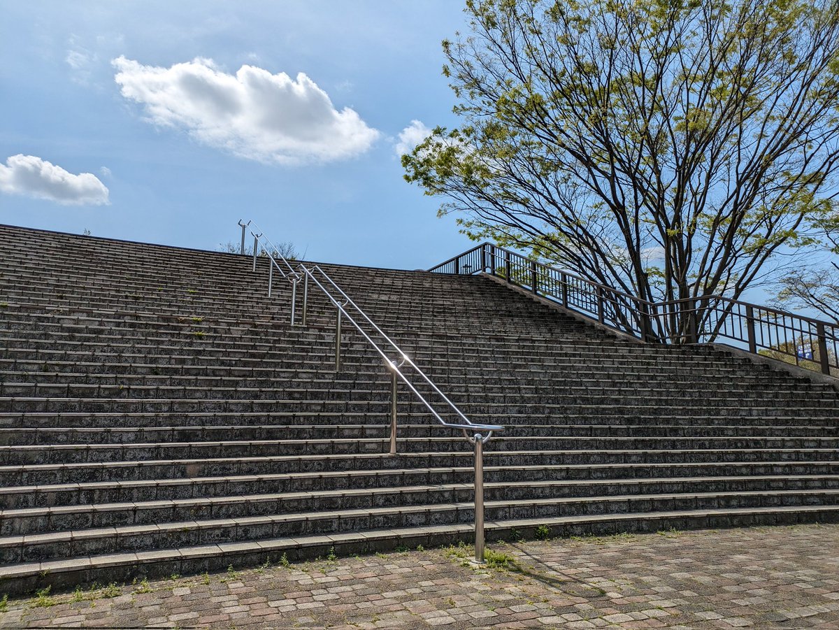 今日のクイズの正解は、 相模原市南区麻溝2317 相模原公園と麻溝公園公園をつなぐ、『リリちゃんばし』でした！ 公園の中は、お花がたくさんでキレイでした✨これからもっと見頃になります！楽しみです(*^^*)森野めぐみ #さがらぶ　 #FMHOT　#FMさがみ