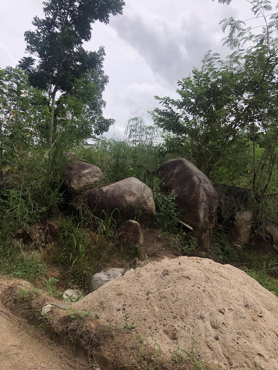 PPBSRSS's tweet photo. Ini lokasinya di kampung gue. Batu2 raksasa ini muntahan letusan krakatau wkt meletus 1800an btw.

Dulu pas gue bocil batu2 ini masih umum ditemuin disamping jalan &amp; rumah warga. Skrg udh banyak yg dipecah/dipindahin https://t.co/loaigDtdbw