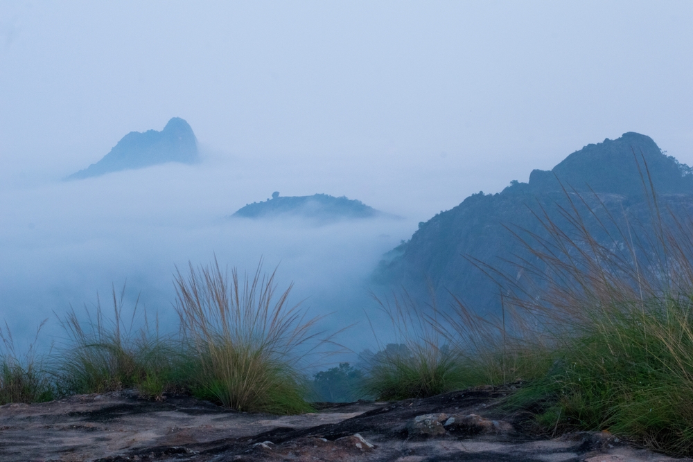 Early mornings in Wayanad be like. #SummerDestination #Summer #Kerala #IndiasSummerCamp #KeralaTourism