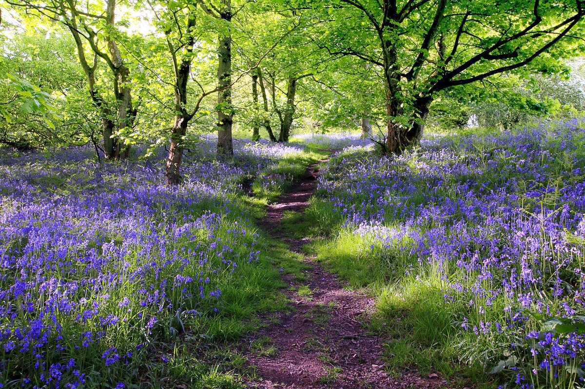 'In life there are two ways of navigating: take a bearing on something in the future and steer towards it, or take a bearing on something in the past and steer away from it. There are those who look ahead and pull and those who look behind and push.' ~C.R.Milne #thursdaymorning