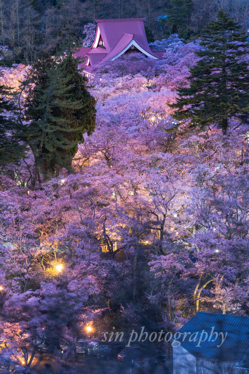 桜の雲海に浮かぶ高遠城址公園のシンボル 　　　　　🌸「高遠閣」🌸 #nikon #photograghy