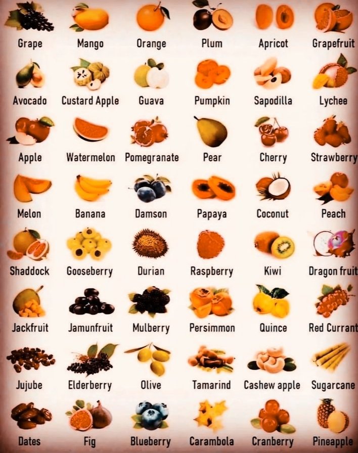 fruits in English