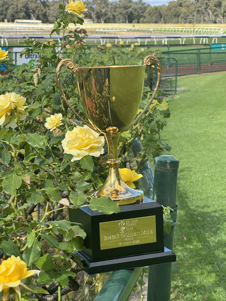 The all important details for the bet365 Golden Mile Day. We look forward to seeing a big crowd on course. 🌱 Good 4 🛤️ Rail - True ☀️ Top 21 deg 🐎 10 races - 1st at 12:05pm 🚪 Gates open 11am 🚌 Courtesy Buses to/from Bendigo Train Station Full Details: country.racing.com/bendigo