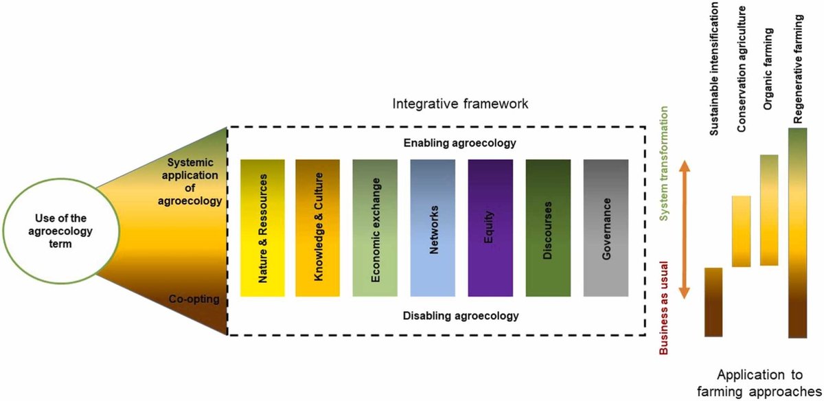 ‼️NEW PAPER: Is agroecology being co-opted? Short answer: YES (1/5)