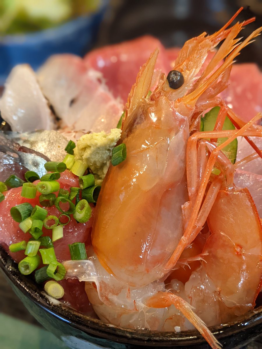 昼飯は海鮮どーん！ 海老、まぐろ、すきみ、〆鯖、カンパチ、サーモン🤤 ごちそうさまでした〜🙏 @千隆(大森)