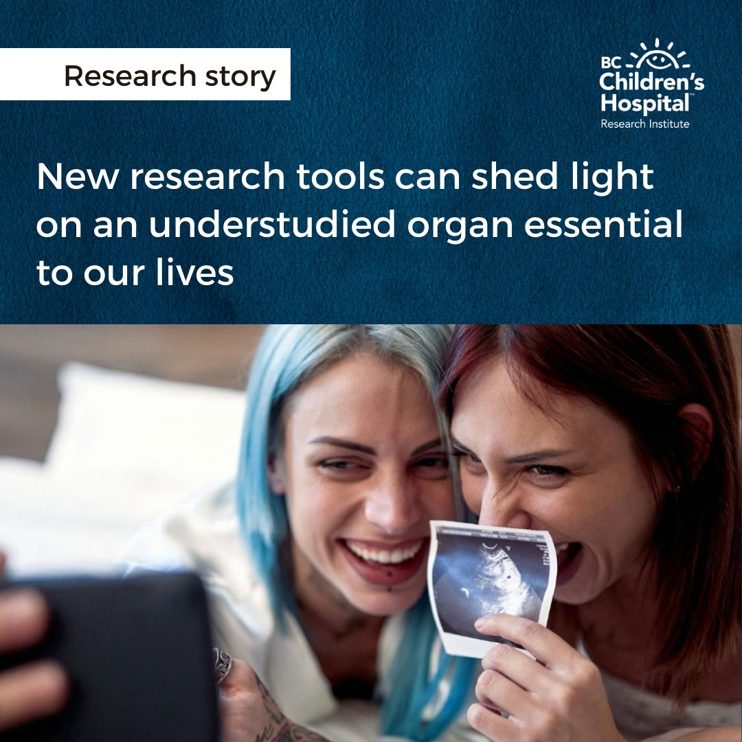 An underdeveloped placenta can lead to long-term health issues. Dr. Alexander Beristain’s lab at @BCCHresearch is investigating new stem cell-based tools that model a human placenta to find answers that can positively impact children’s health. Learn more: bcchr.info/3PWJ3GE