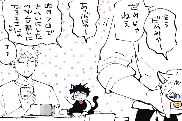 🐱キラキラにゃんこ生活
きれいにするみゃ🫧 
