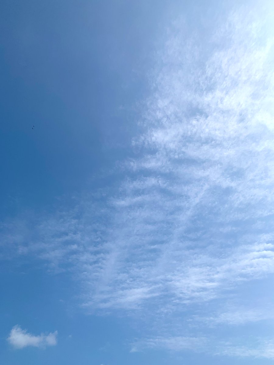 おはようございます☀️ 今日は気持ちのいい青空が広がっています🍀*゜ お仕事行ってきます(*`･ω･)ゞ #沖縄 #イマソラ #リゾバ #恩納村 #リゾートホテル