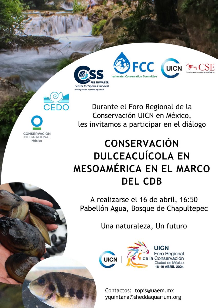 TopiltzinCM's tweet photo. Les invitamos a participar en este conversatorio, en el que iniciaremos un diálogo para encontrar vías para alcanzar los objetivos del Convenio de Diversidad Biológica con relación a la biodiversidad y los ecosistemas dulceacuícolas @CONABIO https://t.co/dzonJrLDi4