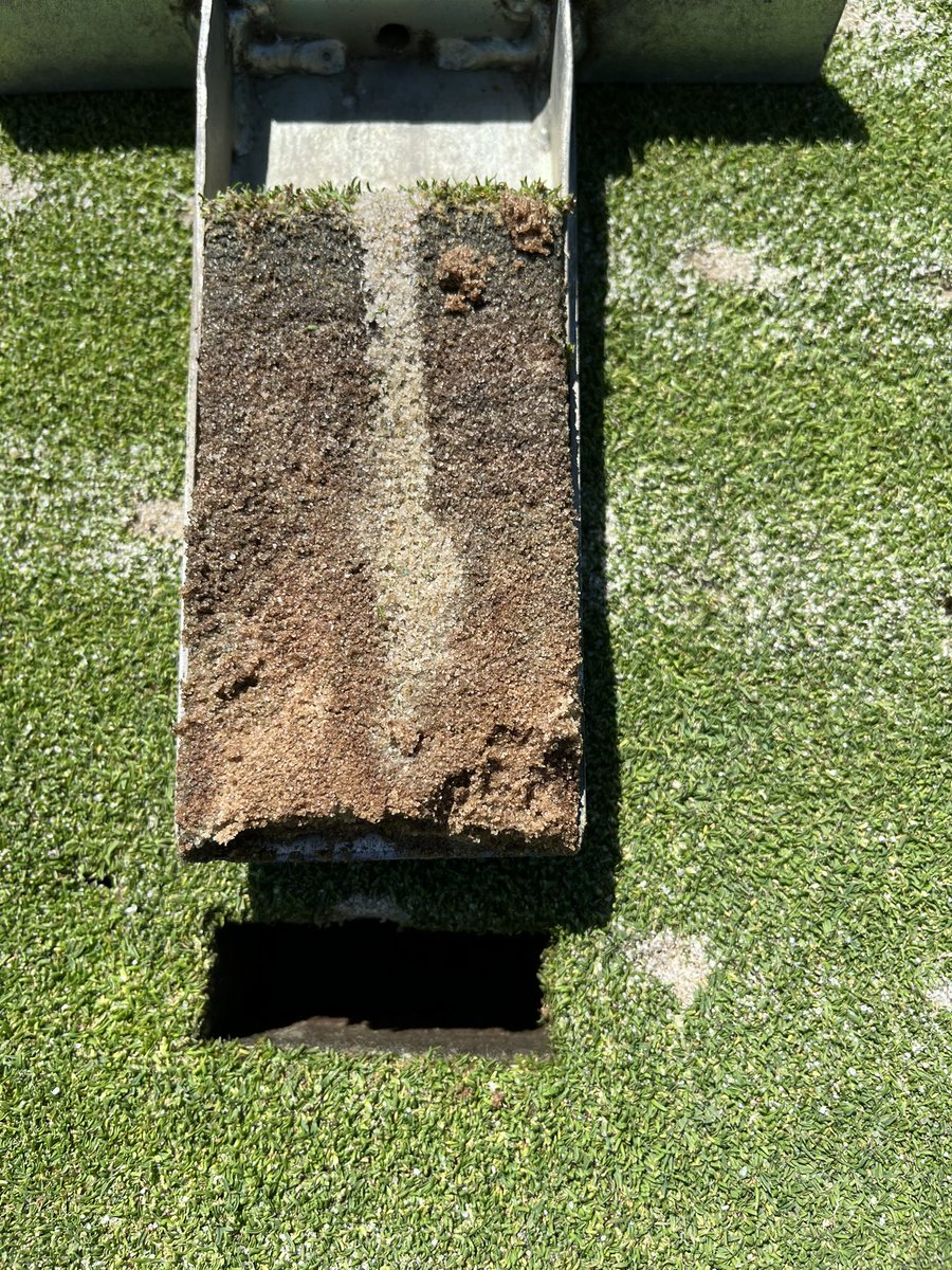 Will Reardon tweet media