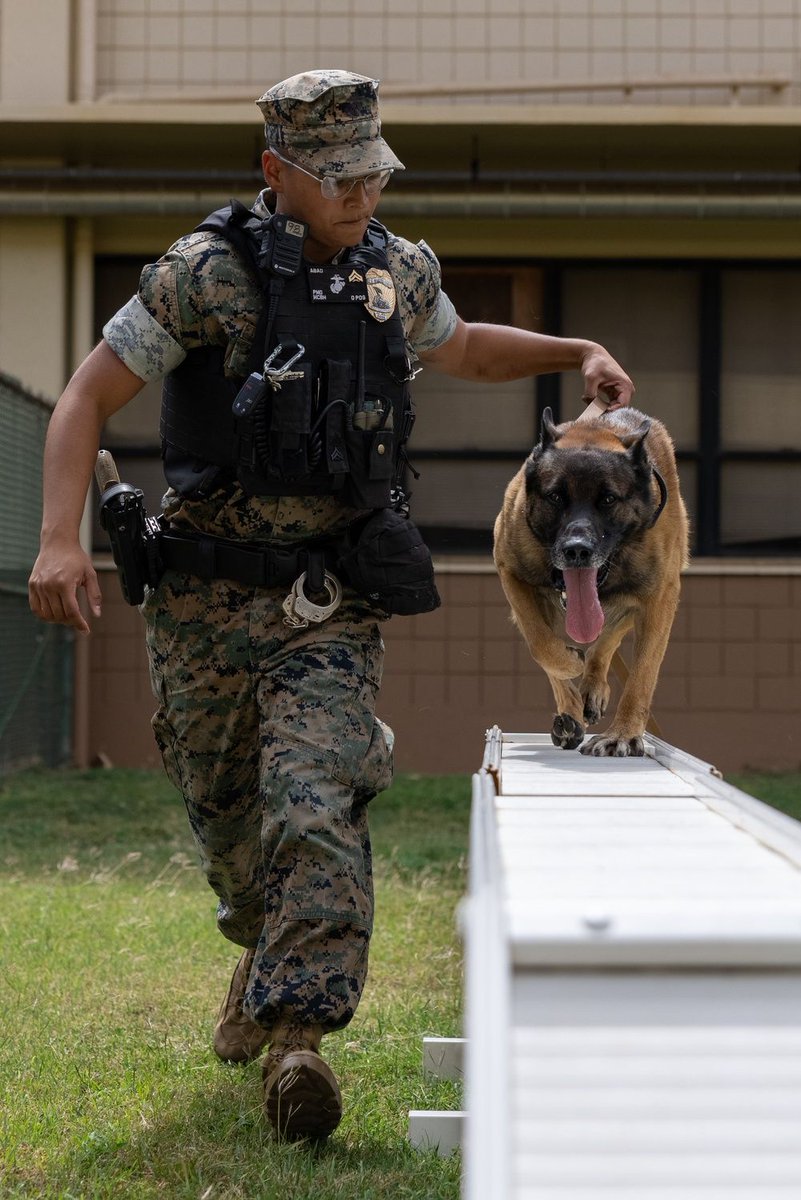 📍 MCBH (April 10, 2024) Today we commemorate our four-legged companions in celebration of National Hug Your Dog Day! Cpl. Adriano Abad, a native of Mesa, AZ and a military working dog handler, bonds with his dog Yenkie every day while protecting our community! #hugyourdog #mwd