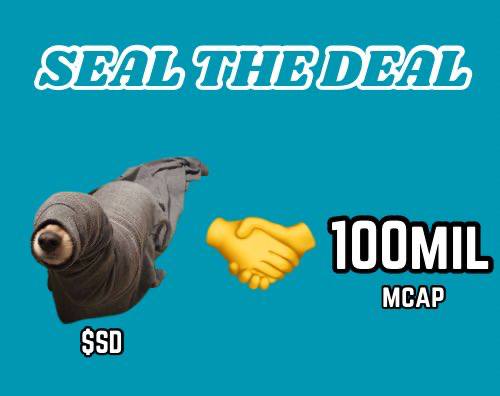 Seal Dog tweet media