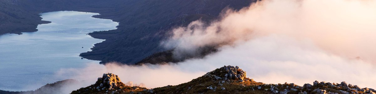 The call for paper for the Australian Progressive Legal Studies Workshop 2024 is open! This workshop on law and political economy will be held at the UTAS Law School on 28–29 Nov in nipaluna/Hobart on the theme: "Legal entanglements between state and  capital in a warming world."