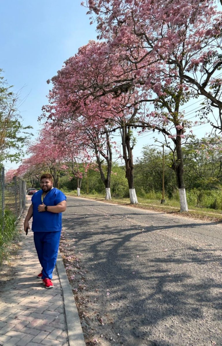 dr_ricardez1's tweet photo. Los bosques de Sakura(flor de cerezo)🌸 en Japón... Los envidiosos dirán que es macuilis en cunduacán
#macuilis #sakura #Primavera #rosa https://t.co/e1IsCfE3Bq