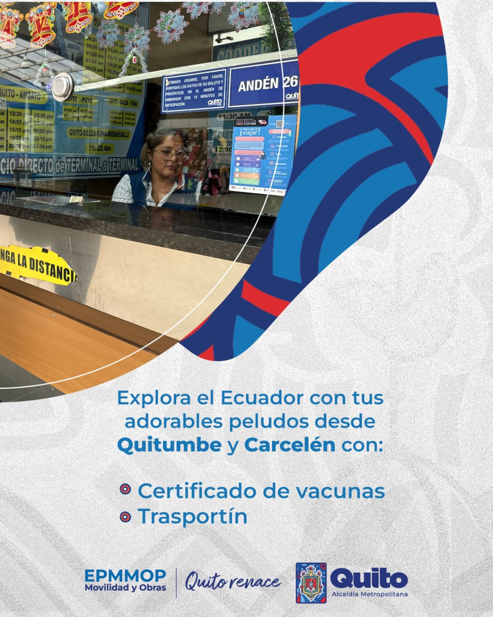 🚌🐾#TerminalesTerrestres | ¡Viaja con tus compañeros peludos desde las estaciones de #Quitumbe y #Carcelén! 🐕🦺🐈⬛ 

Asegúrate de tener los certificados de vacunación al día y transpórtalos de forma segura. 

#QuitoRenace