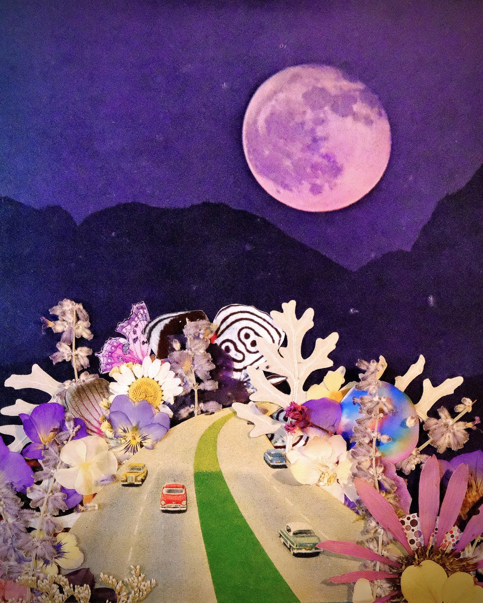 Flower Highway sketch