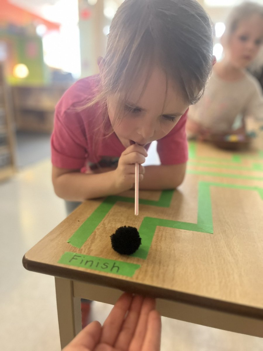 Busy with Ms. B 🐝 tweet media