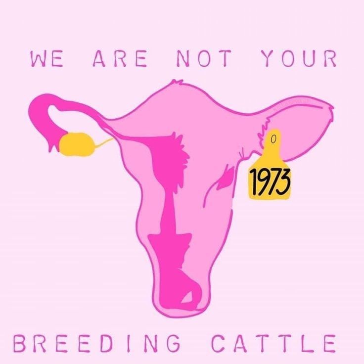 They may think they are winning with these archaic laws they're passing, but we have news for them, don't we? We will see you at the ballot box bitches. Buckle up.
#WantRoeVoteJoe #CodifyRoe  #RoevemberIsComing2024 
#AbortionBansHurtWomen