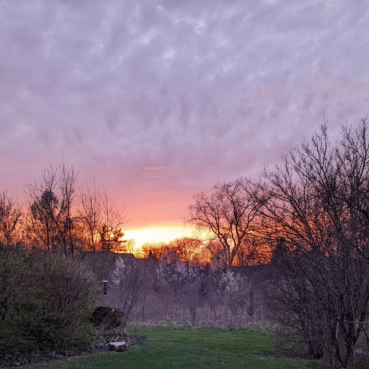 ...and good night?

Quite the day for nature photography! 😍 🌞

#photography #sunset #evening #goodnight #picoftheday #wednesday