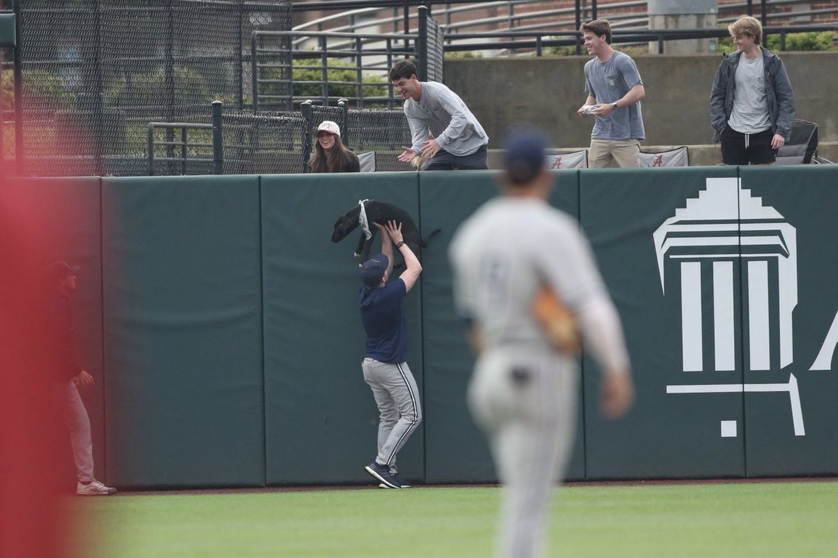 Stephen Schoch tweet media